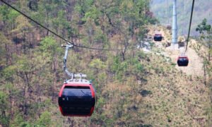 Read more about the article लुम्बिनी केबलकारमा ५०% छुट