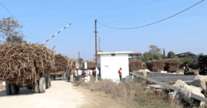 Read more about the article इन्दु शंकर चिनी उद्योगले किसानलाई दियाे १ अर्ब ३१ करोड