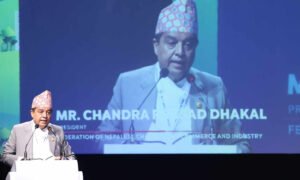 Read more about the article नेपालमा लगानी विस्तार गर्न महासंघ अध्यक्षकाे आग्रह