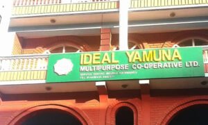 Read more about the article तीनवटा सहकारीलाई समस्याग्रस्त घाेषणा गर्ने तयारी