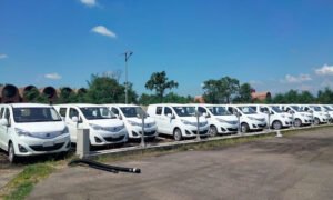 Read more about the article विद्युतीय गाडीकाे आयात बढ्याे