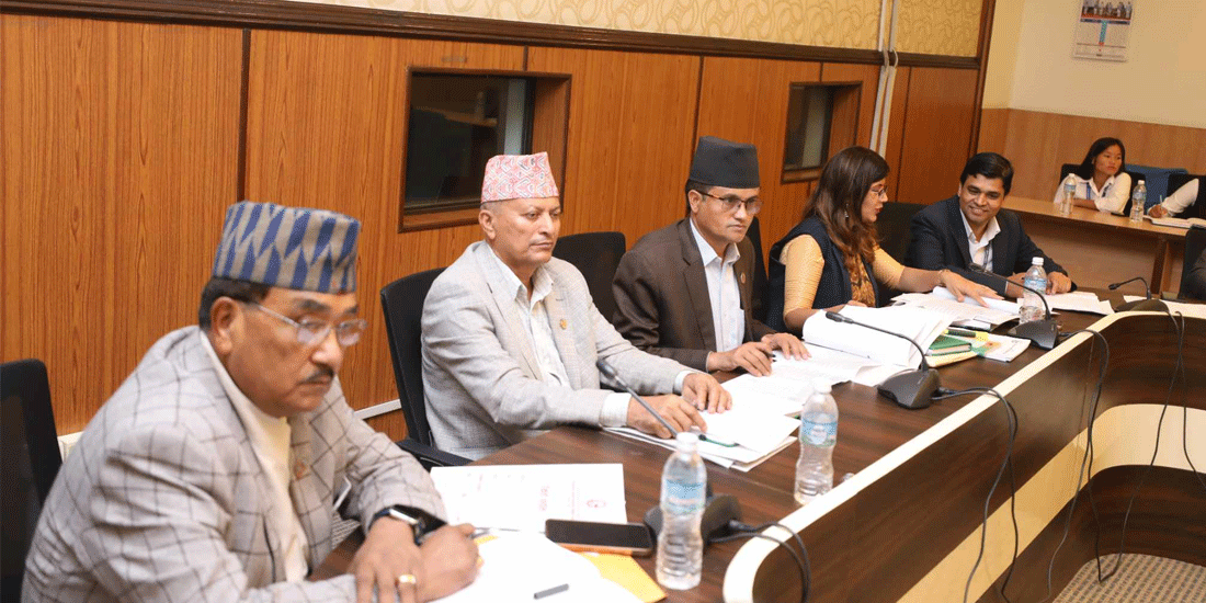 Read more about the article सहकारी छानबिन समितिद्वारा सराेकारवालासँग छलफल