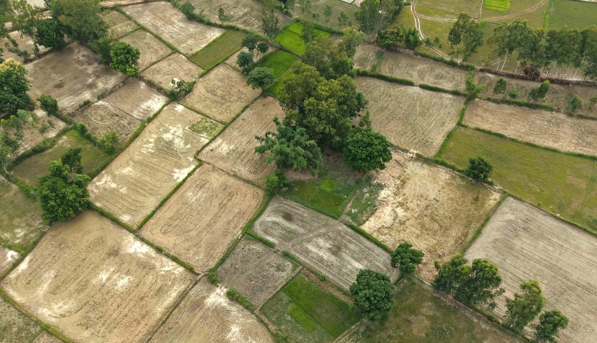 Read more about the article मधेस प्रदेशका ४६ प्रतिशत भूभागमा हल्कादेखि मध्यम वर्षा