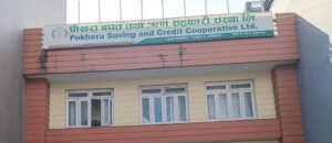 Read more about the article पाेखरा सहकारीकाे ८८ कराेड हिनामिना, ७ जना पक्राउ