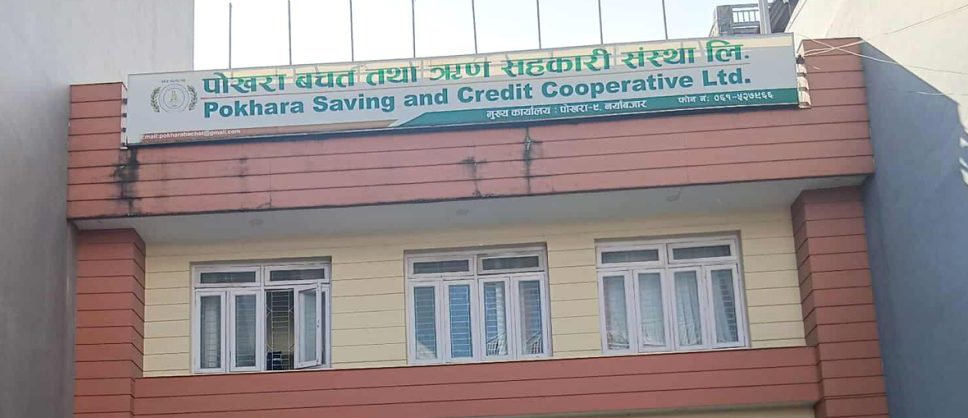 पाेखरा सहकारीकाे ८८ कराेड हिनामिना, ७ जना पक्राउ