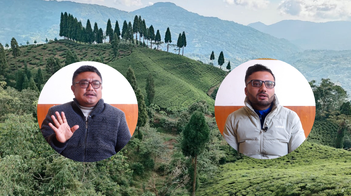 Read more about the article चिया निर्यात कार्यविधिविरुद्ध चिया उद्योगी चिन्तित : हजारौँ किसान र मजदुर जोखिममा